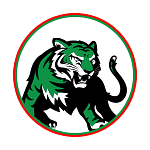 visitor_team_flag
