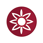 local_team_flag